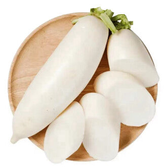 白萝卜 White Mooli Radish