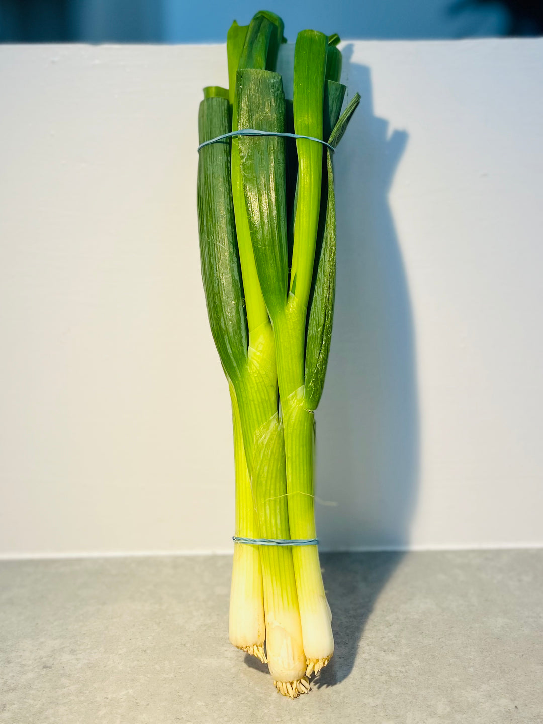 葱 Spring Onion
