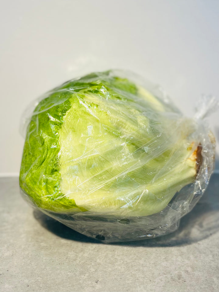 Lettuce 生菜